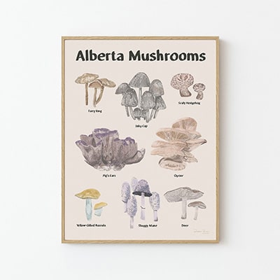 Alberta Mushrooms Print